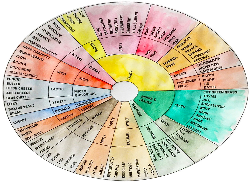 Flavor Wheel